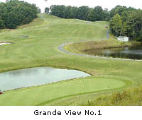 Grande View No. 1